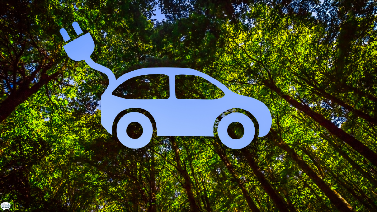 Das Symbol eines E-Autos in weiß und als Hintergrundbild sieht man Baumstämme eines Waldes